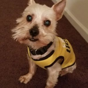 Meet your Posher, Natasha